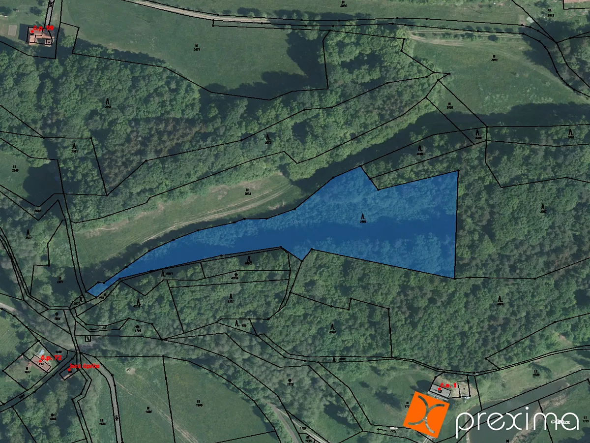 Prodej podílu 1/4 lesa 2332 m²